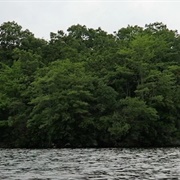 Minnie Island State Park