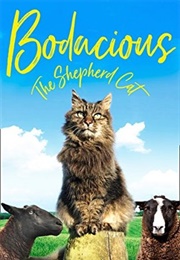 Bodacious (Suzanna Crampton)