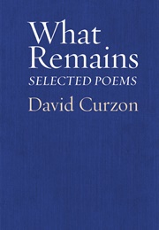 What Remains (David Curzon)