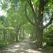 Brainard Homestead State Park