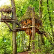 Drommen Shack Treehouse Airbnb