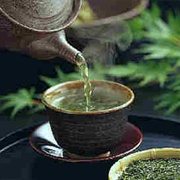Green Tea (Hot)