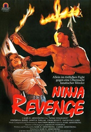 Ninja Vengeance (1993)