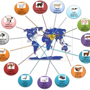 How Animal Domestication Works