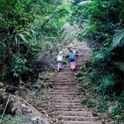 5+ Stories of Stairs Daily to School