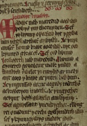 Dream of Rhonabwy (Anonymous)