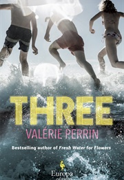 Three (Valérie Perrin)
