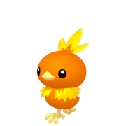Torchic (Male)