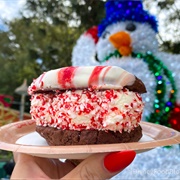 Double-Chocolate Peppermint Ice Cream Sandwich