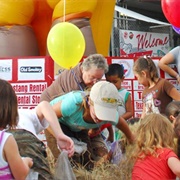 National Baby Food Festival