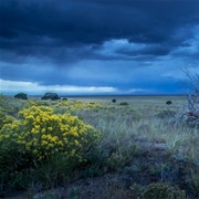 Great Plains of Canada and US