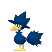 Murkrow (Male)