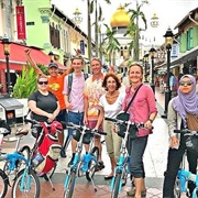 Lion City Bike Tour of Singapore