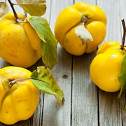 Quince in Kydonia, Crete