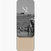 Seint Vanilla Dust Setting Powder