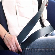 Safety Belt