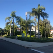 Beverly Hills Bermuda Triangle