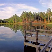 General Coffee State Park