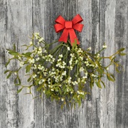 Mistletoe