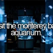 Visit the Monterey Bay Aquarium