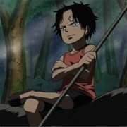 493. Luffy and Ace - The Story of the Brothers' Meeting!