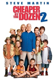 Cheaper by the Dozen 2 (2005)