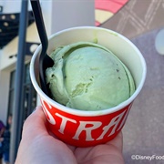 Don Bugito's Creepy Crawly Critters