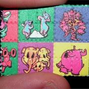 How LSD Works