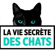 La Vie Secrète Des Chats