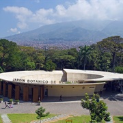 Joaquin Antonio Uribe Botanical Garden, Medellín