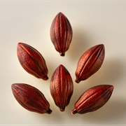 Cocoa Bean Dark Chocolate Bonbon