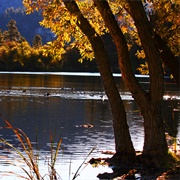 Big Pines, California