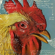 Watery, Domestic EP (Pavement, 1992)