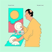 Parquet Courts - Monastic Living