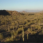 Butterfield Overland National Historic Trail