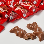 Malteasers Bunny
