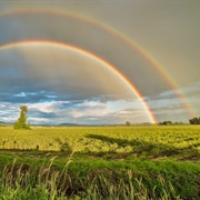 See a Rainbow (Better Double)