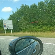 Dansk-Tysk Grænse Padborg
