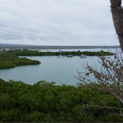 Academy Bay, Galápagos Islands, Ecuador