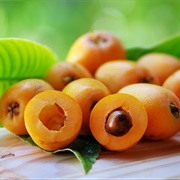 Loquat