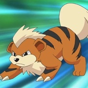 Growlithe