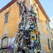 Rabbit in Gaia, Porto