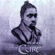RZA - The Formula for the Cure