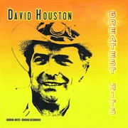 I Do My Swinging at Home - David Houston