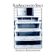 Subarachnoid Space - Endless Renovation