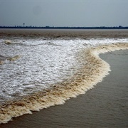 Qiantang River Tidal Bore (Silver Dragon), Jiaxing, China