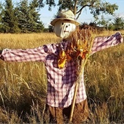 Build Scarecrow