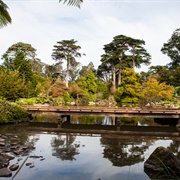 San Francisco Botanical Garden