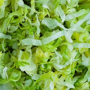 Shredded Lettuce