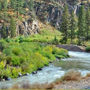 Floriston, California